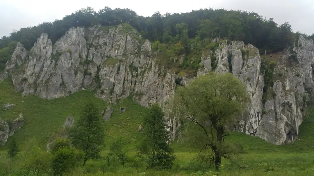 Lovitură grea pentru Hearts: doi piloni defensivi, out pe termen lung